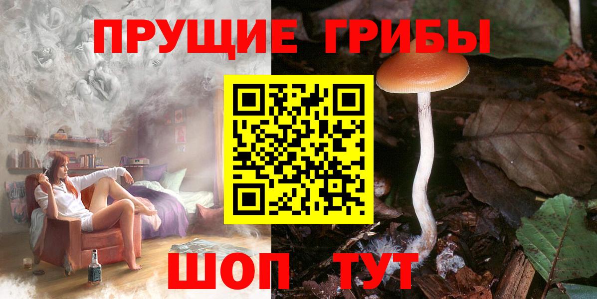 Псилоцибиновые грибы прущие грибы  Вход с VPN  Серпухов 